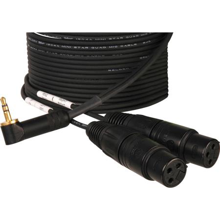Camplex 10' 3.5mm TRS Balanced Male to Dual Unbalanced XLR Female Mic Cable