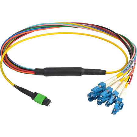 Camplex 6' MTP Elite APC Male to 12 LC UPC External Singlemode Cable, Yellow