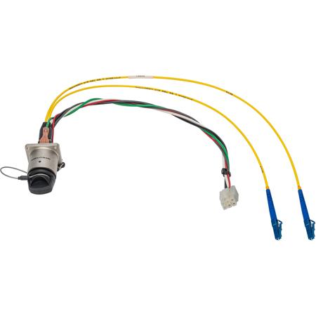 Camplex 12" Female DRAGONFLY Chassis Mount to Duplex LC Internal Breakout Cable