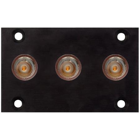 Camplex 3 BNC Feedthru Module for 1RU HYMOD Systems