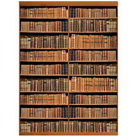 Click Props Bookshelf Backdrop, Large