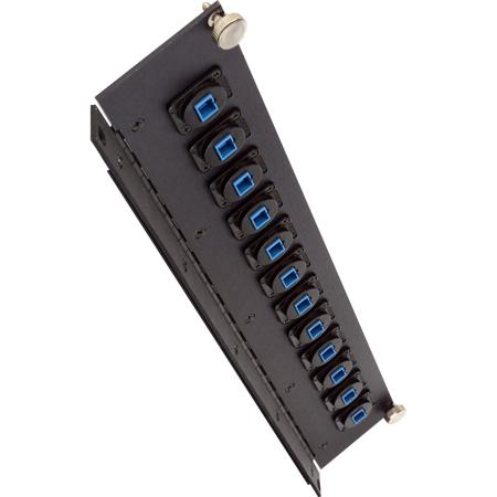 Camplex Tailgater Series 2RU Hinged Feedthru Fiber Patch Panel, 12 Singlemode SC