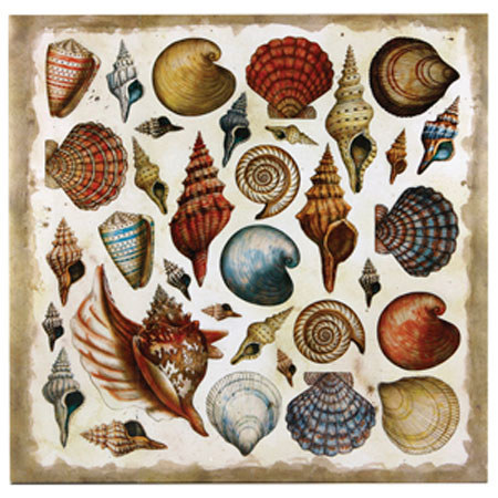 C.R. Gibson Post-Bound Magnetic Page Album, 8 Pages, Images up to 10x12-Nautilus