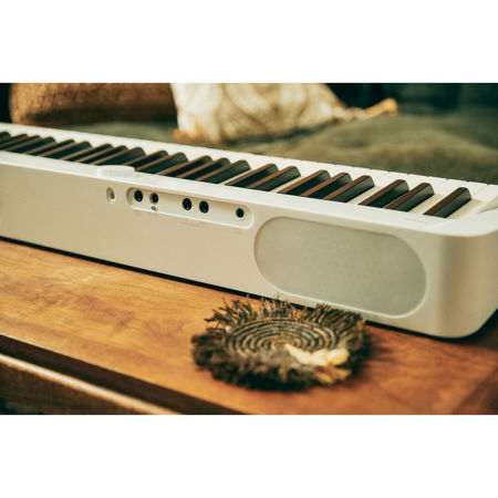 Casio PX-S1100 Privia 88-Key Slim Digital Stage Piano w