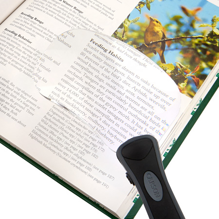 Carson 2x Lighted RimFree Magnifier with Batteries and Case