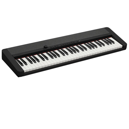 Casio Casiotone CT-S1 61-Key Piano Style Portable Keyboard Black