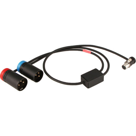 Cable Techniques 24" TA5F to 2x XLR 3-Pin Male Low-Profile Y-Cable