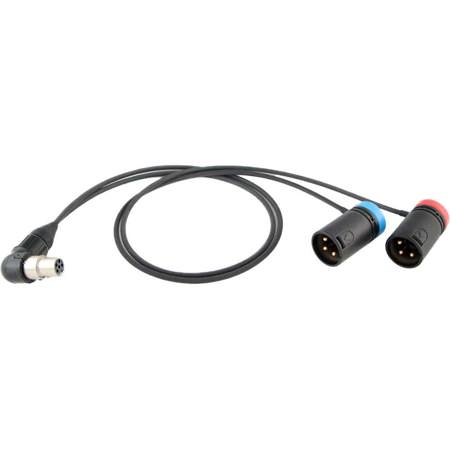 Cable Techniques Low-Profile Y-Cable for Lectrosonics SRc5P/SRb5P Receivers, 24"