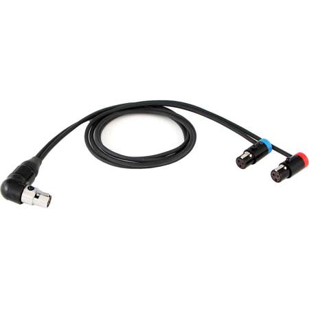 Cable Techniques RA TA5F to (2) TA3 Lo-Pro Cable for Lectro SRc5P/SRb5P Out, 24"