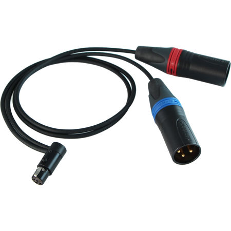Cable Techniques 24" LPS TA5F to 2x Straight XLR3M Y-Cable for SRc5P Receivers