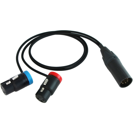 Cable Techniques 18" 2x LP R/A XLR-3F to XLR-5M Straight Y-Cable, Blue/Red Caps