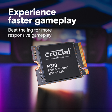 Crucial 1TB P310 Gen 4 M.2 2230 PCIe NVMe SSD CT1000P310SSD2