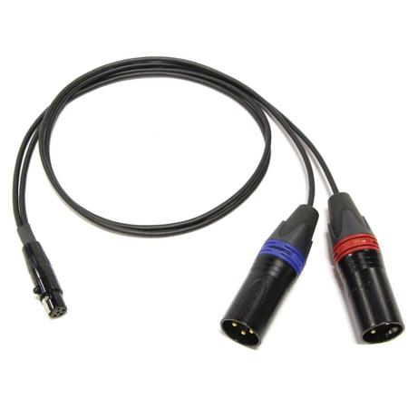 Cable Techniques 24" TA5F to 2x XLR-3M Lectrosonics SR Receiver Output Cable