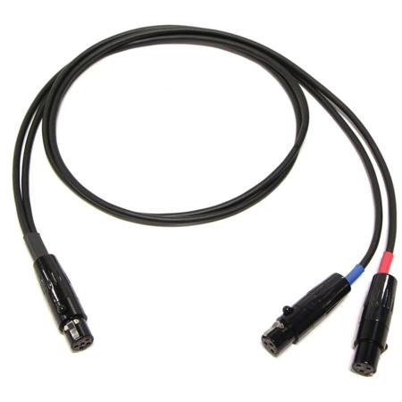 Cable Techniques 24" TA5F to 2x TA3F Lectrosonics SR Receiver Output Cable