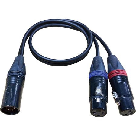Cable Techniques 18" 2x XLR 3-pin Female to 1x XLR 5-pin Male Cable, Gold/Black