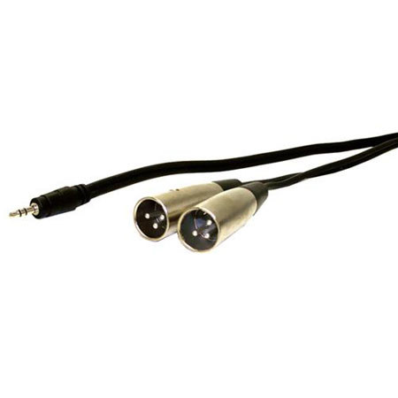 Comprehensive 10' Standard General Purpose Stereo Mini to 2 XLR Male Cable