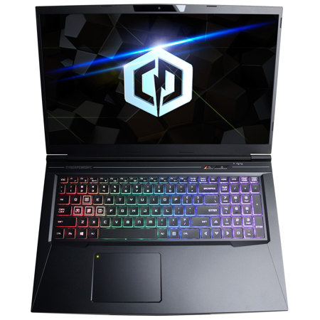 CyberPowerPC 17.3" Notebook, i7-9750H 2.6GHz, 16GB RAM, 512GB SSD, GTX 1650, W10