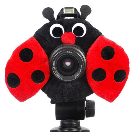Camera Creatures Look-at-me Ladybug (003)