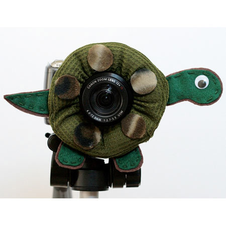 Camera Creatures Turn this way Turtle (004)