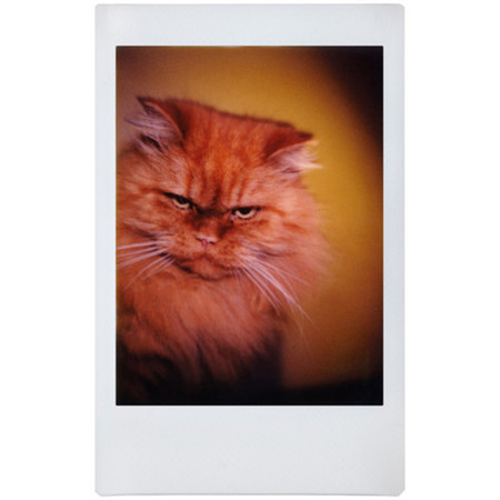 Lomography Lomo'Instant Automat Glass Camera, Magellan Edition N