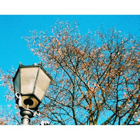 Lomography Peacock 110 X-Pro Color Transparency Film