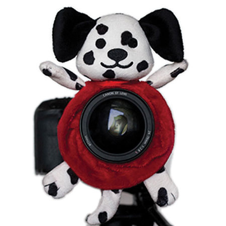 Shutter Hugger Dalmatian