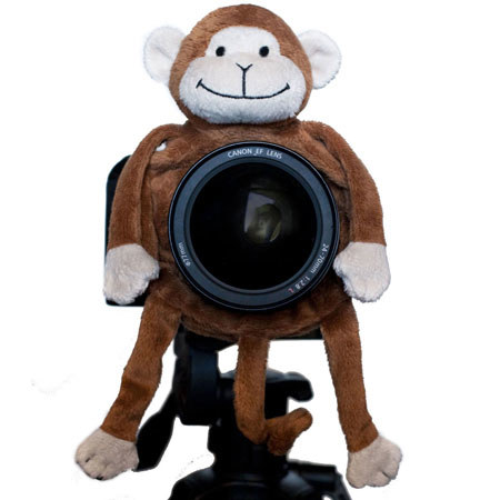 Shutter Hugger Monkey