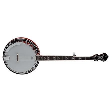 Dean backwoods 5 string banjo cheap