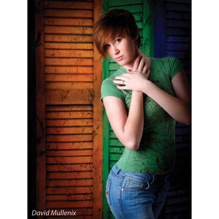 Denny Manufacturing 8'x8' Primary Shutters Freedom Cloth Backdrop