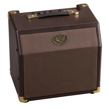 Dean EU Acoustic Amp w/Chorus 15 Watt Guitar