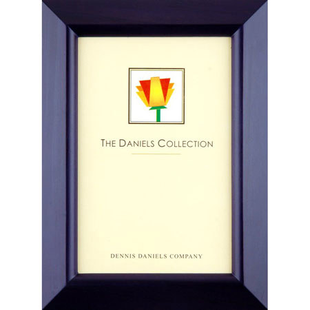 Dennis Daniels Beveled Molding Frame, 8x12in, Blue