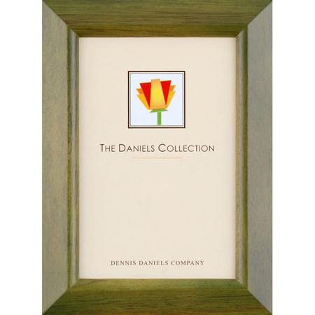 Dennis Daniels Beveled Gallery Frame, 8x12in, Green