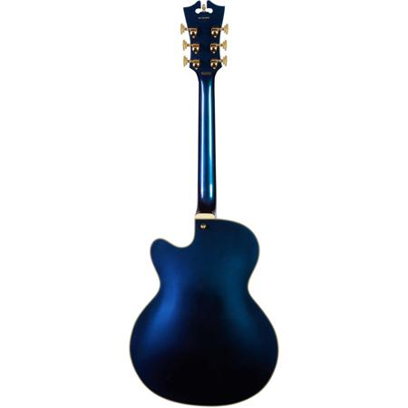 D'Angelico Guitars Deluxe 175 Single Cutaway Electric Guitar, Chameleon