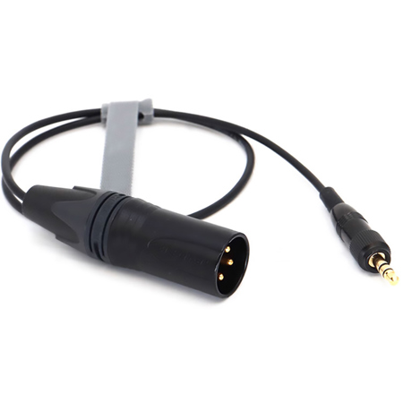 DigitalFoto Solution Limited 3' 3.5mm TRS to 3-Pin Female XLR Cable ...