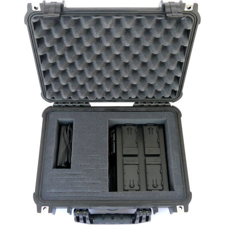 Dolgin Engineering On-The-Go 4-Position Charger Field Kit for Panasonic Camera