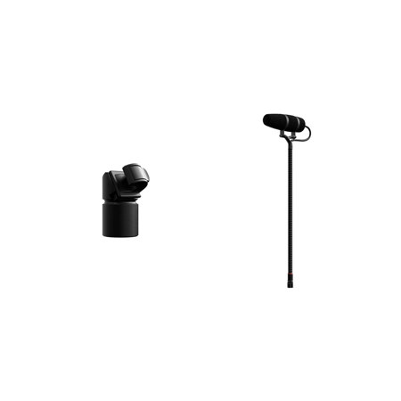 DPA Microphones 4099 CORE+ Supercardioid Instrument Microphone with 3/8" and 5/8" Thread Microphone Stand Mount, Black