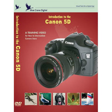 Blue Crane DVD: Introduction to Canon 5D DSLR