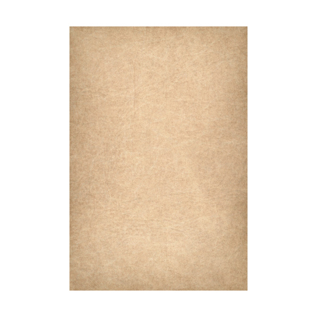Easiframe 8.2x12.5' Cyclorama Fabric Curved Frame Backdrop, Caramel