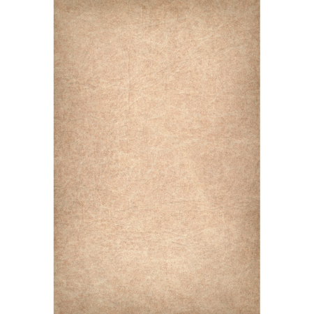 Easiframe 8.2x12.5' Cyclorama Fabric Curved Frame Backdrop, Hazelnut