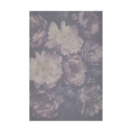 Easiframe 8.2x12.5' Cyclorama Fabric Curved Frame Backdrop, Bouquet of Peonies
