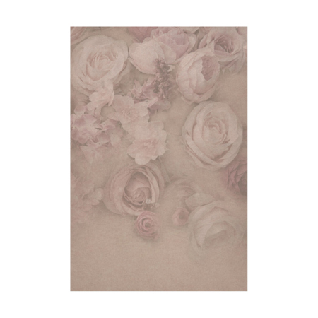 Easiframe 8.2x12.5' Cyclorama Fabric Curved Frame Backdrop, Vintage Roses