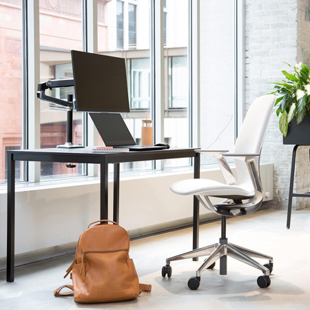 Ergotron LX Desk Mount Monitor Arm with Tall Pole, Polished