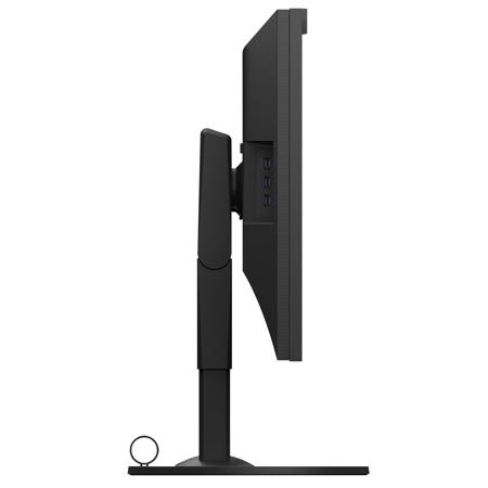Eizo ColorEdge CG319X 31.1