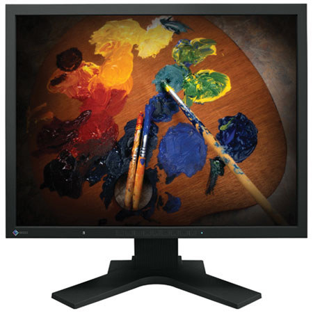 Eizo S2100 FlexScan 21.3 inch TFT LCD Monitor, Black