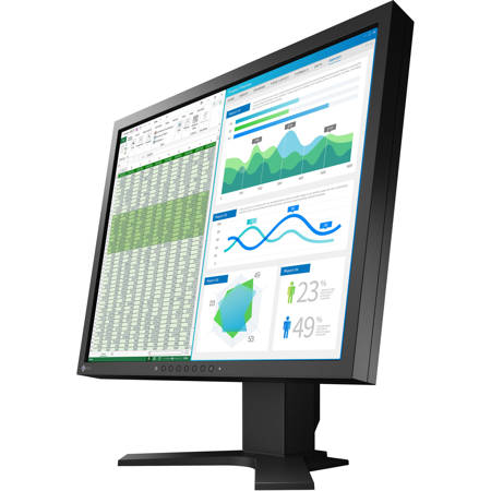 Eizo FlexScan S2134 21.3