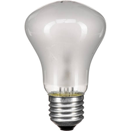 Elinchrom 100 watt, 90 volt Halogen Modeling Lamp for the the EL250/500 Compact Monolights
