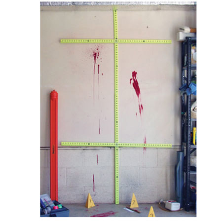 Evident #1 1 - 48" SuperStick