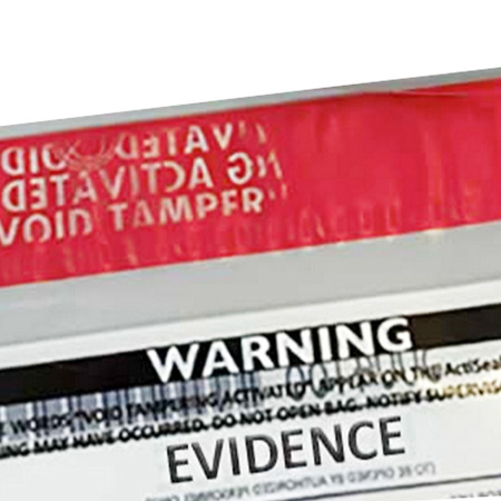 Evident 12x15" Currency Security Bag, 100 Pack