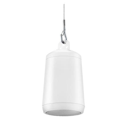 Electro-Voice EVID-P2.1 Pendant Mount Satellite Speaker, Pair