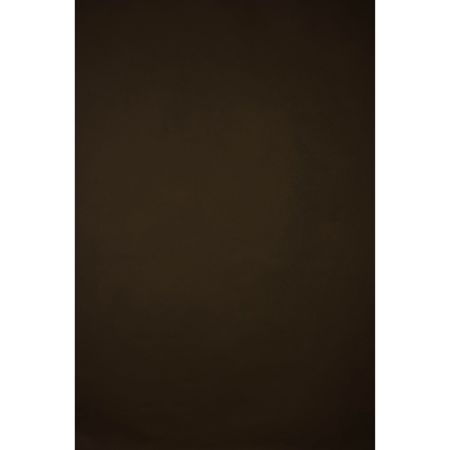 Gravity Backdrops Hand Painted Classic Collection Canvas Low Texture Backdrop, 3.9x7.8', Brown